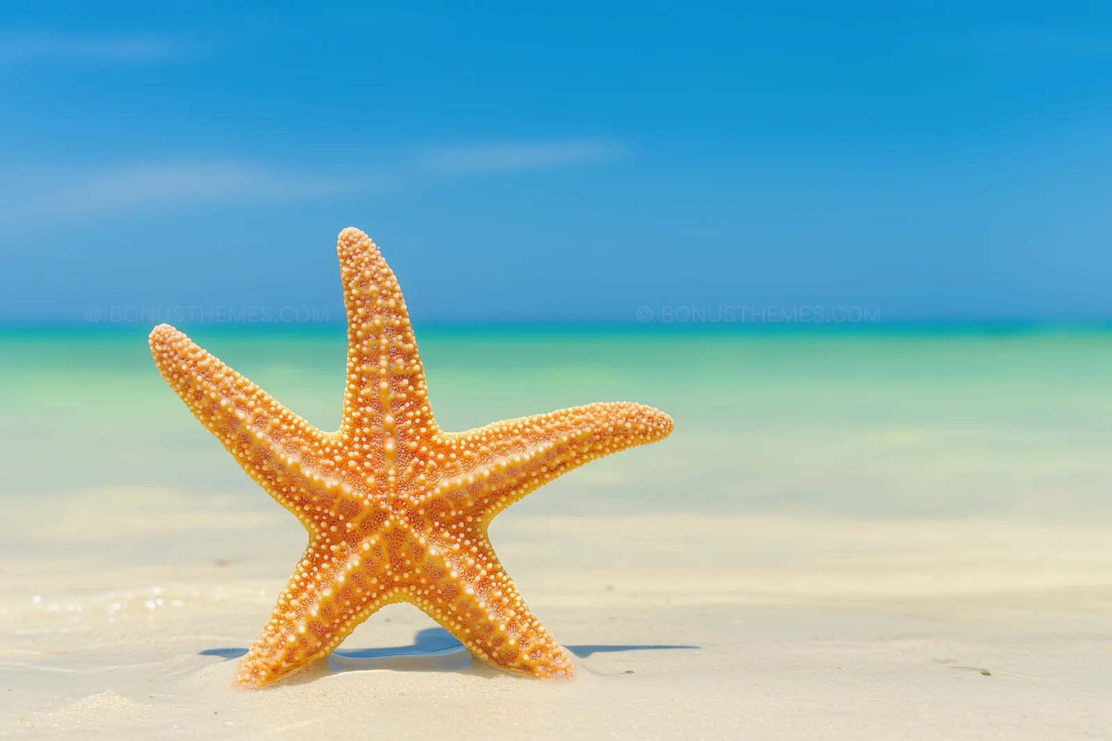 Starfish Standing on a Peaceful Sunny Beach | Summer AI Image